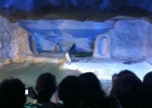 aquario_sp_07