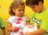 bichomania-imagem-1