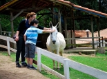 bichomania-imagem-2