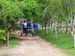 bichomania-imagem-6