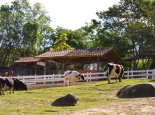 bichomania-imagem-7