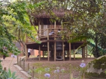 bichomania-imagem-9