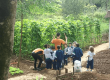 promoventos-fotos-fazenda-angolana-1