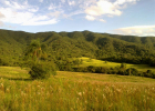 fazenda-guaxinduva-4