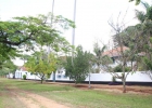 fazenda-ibicaba-19