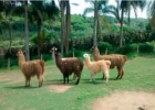 promoventos-fazenda-mae-terra-imagem-1