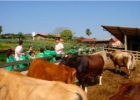 promoventos-fazenda-mae-terra-imagem-3