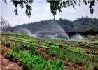 promoventos-fazenda-mae-terra-imagem-4