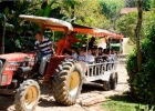 promoventos-fazenda-mae-terra-imagem-6