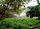 promoventos-fazenda-mae-terra-imagem-9