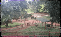 promoventos-fazendas-cheiro-do-mato-imagem-2
