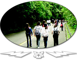 caminhos-do-mar
