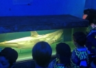 aquario_sp_17