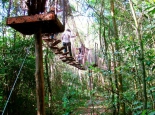 bichomania-imagem-11