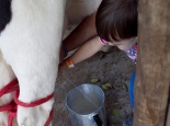 bichomania-imagem-16