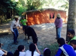 bichomania-imagem-18