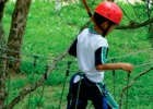ecologic_20