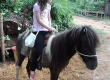 promoventos-fotos-fazenda-angolana-8