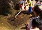 faz-conceicao-12