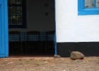 fazenda-ibicaba-13