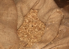 fazenda-ibicaba-136