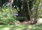 fazenda-ibicaba-30