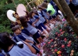 sitiolandia-2016-25