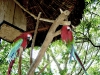 zoo_itatiba